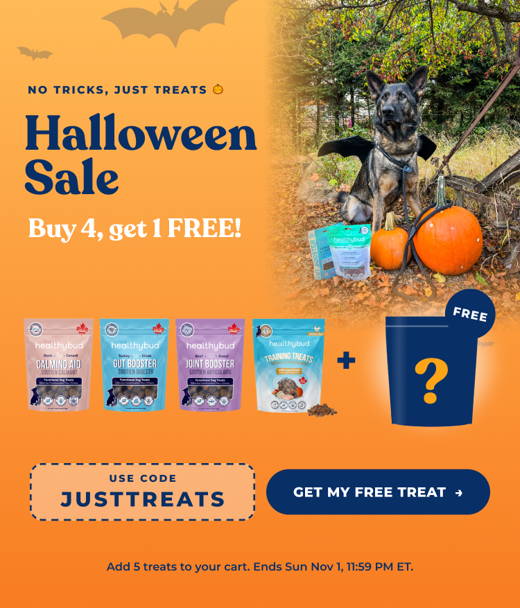 Father's Day Sale - Buy 4 Get 1 Free