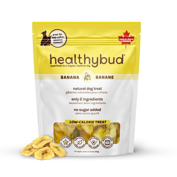 Banana Chips - healthybud