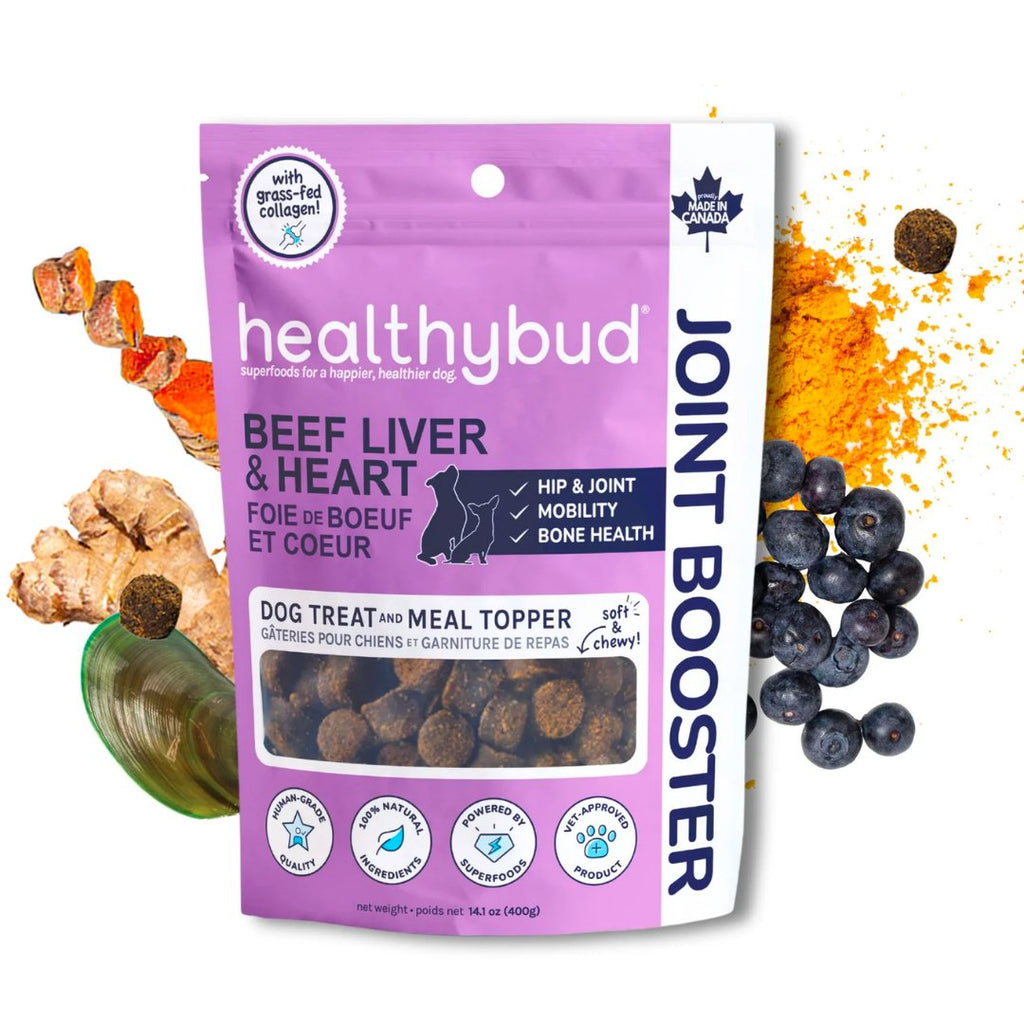 Front of Healthybud Beef Joint Booster treats - supports mobility with superfoods; green-lipped mussel, collagen, & turmeric.