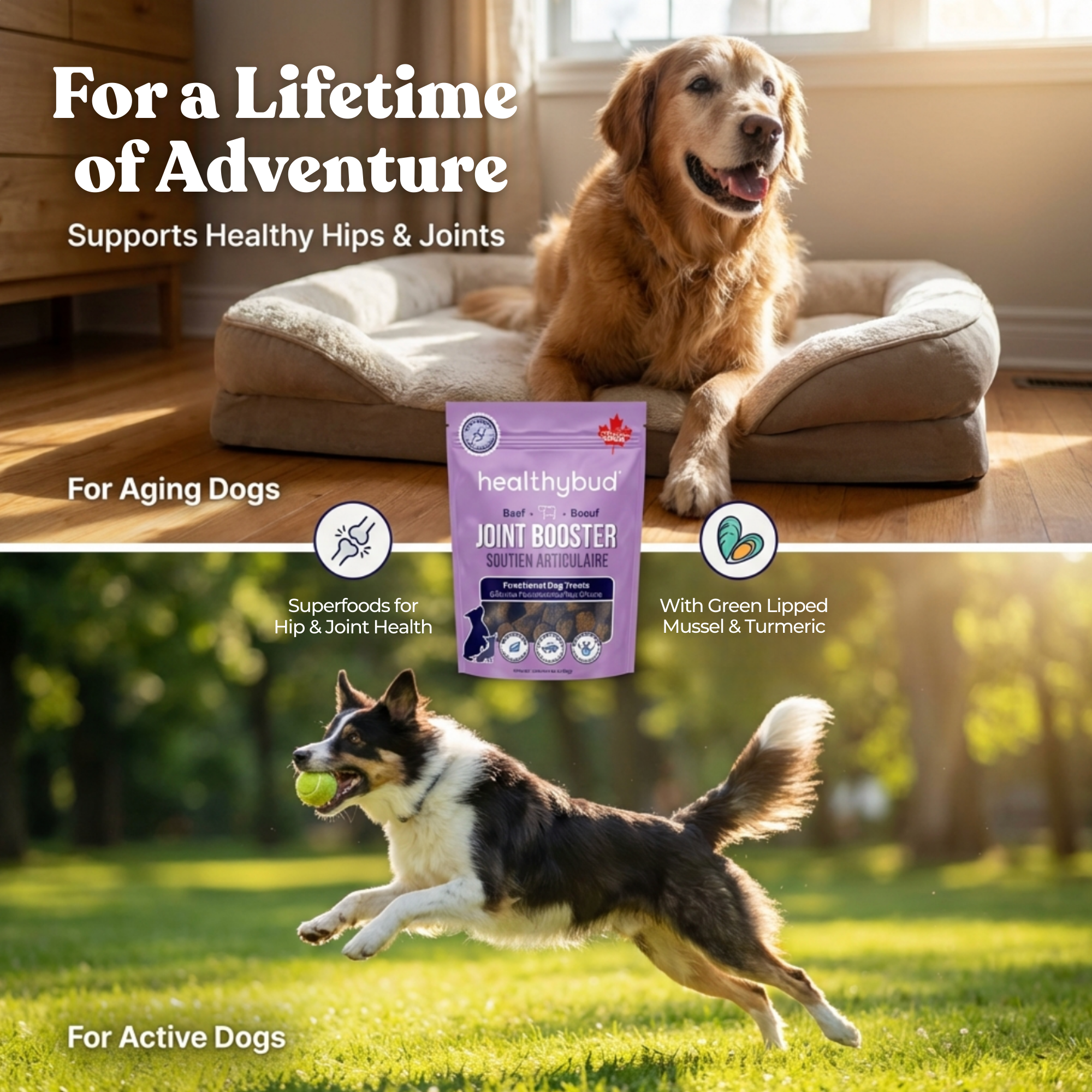 Beef Joint Booster - healthybud