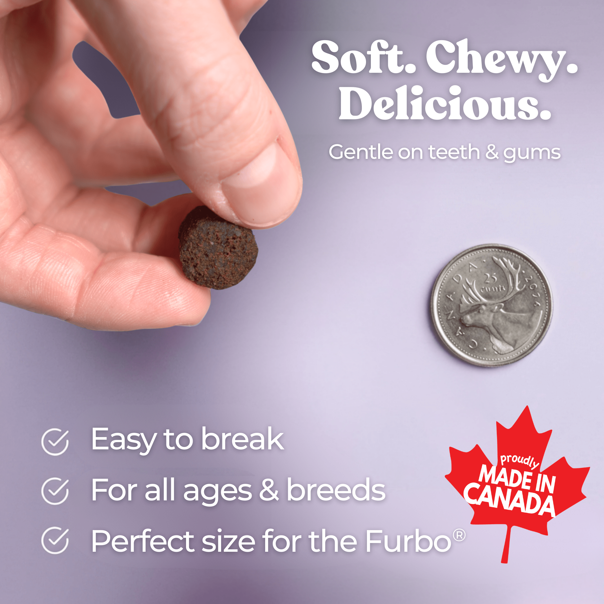 Beef Joint Booster - healthybud