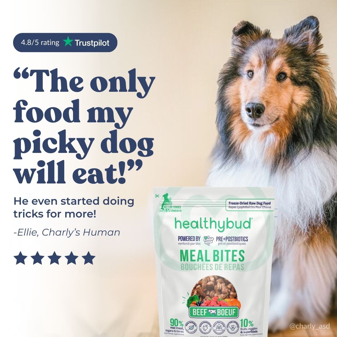 Beef Meal Bites - healthybud
