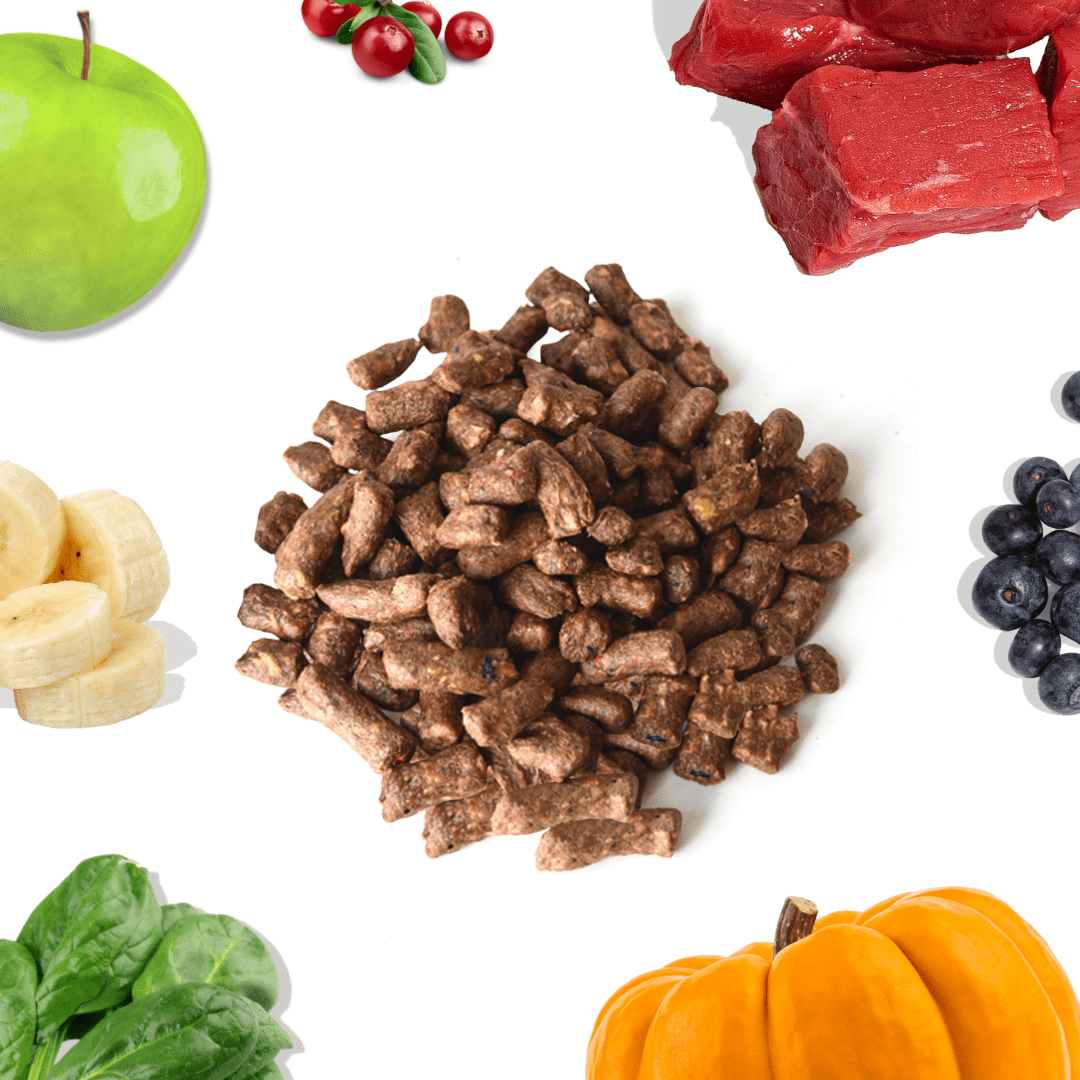 Beef Meal Bites - healthybud