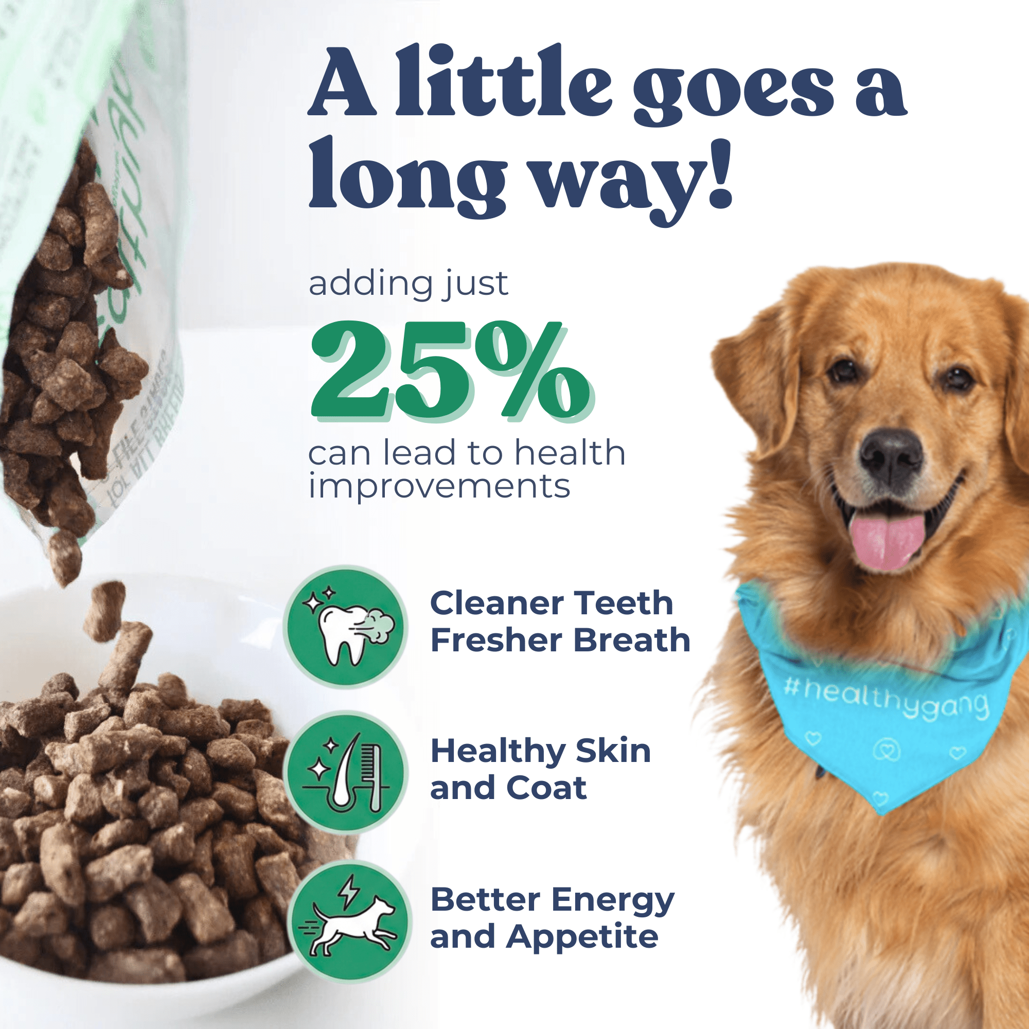 Beef Meal Bites - healthybud