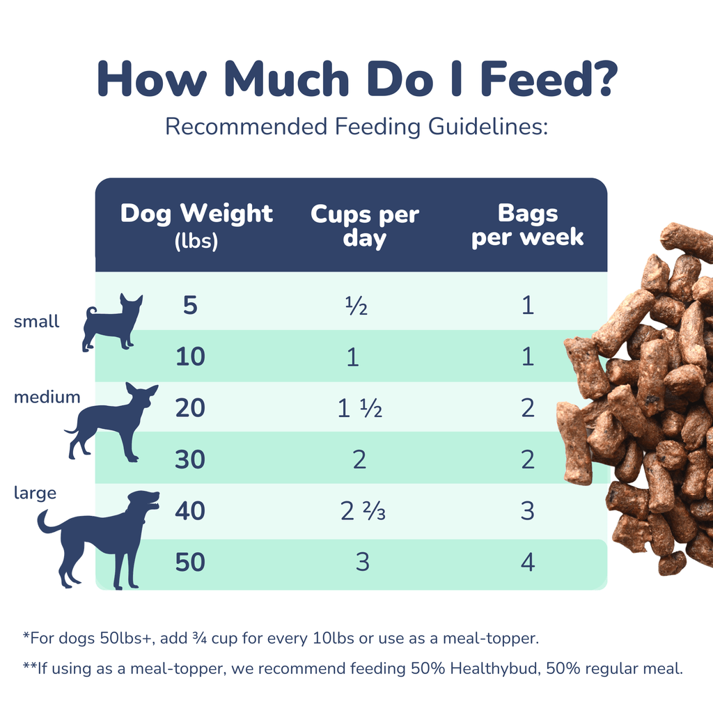 Beef Meal Bites - healthybud