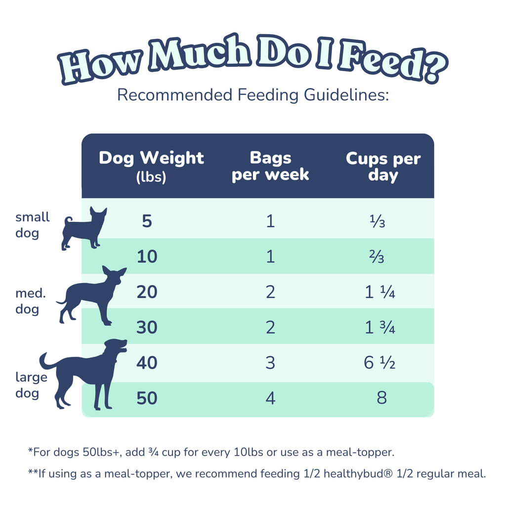 Beef Meal Bites - healthybud