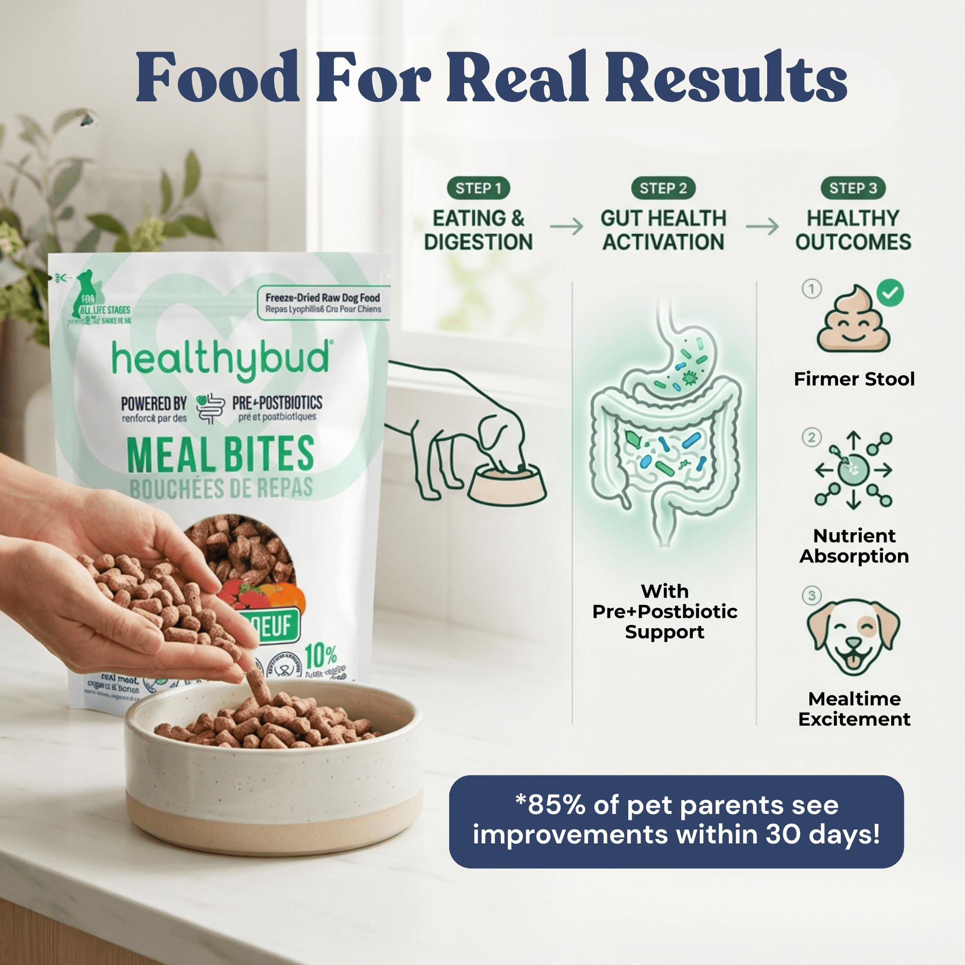 Beef Meal Bites - healthybud