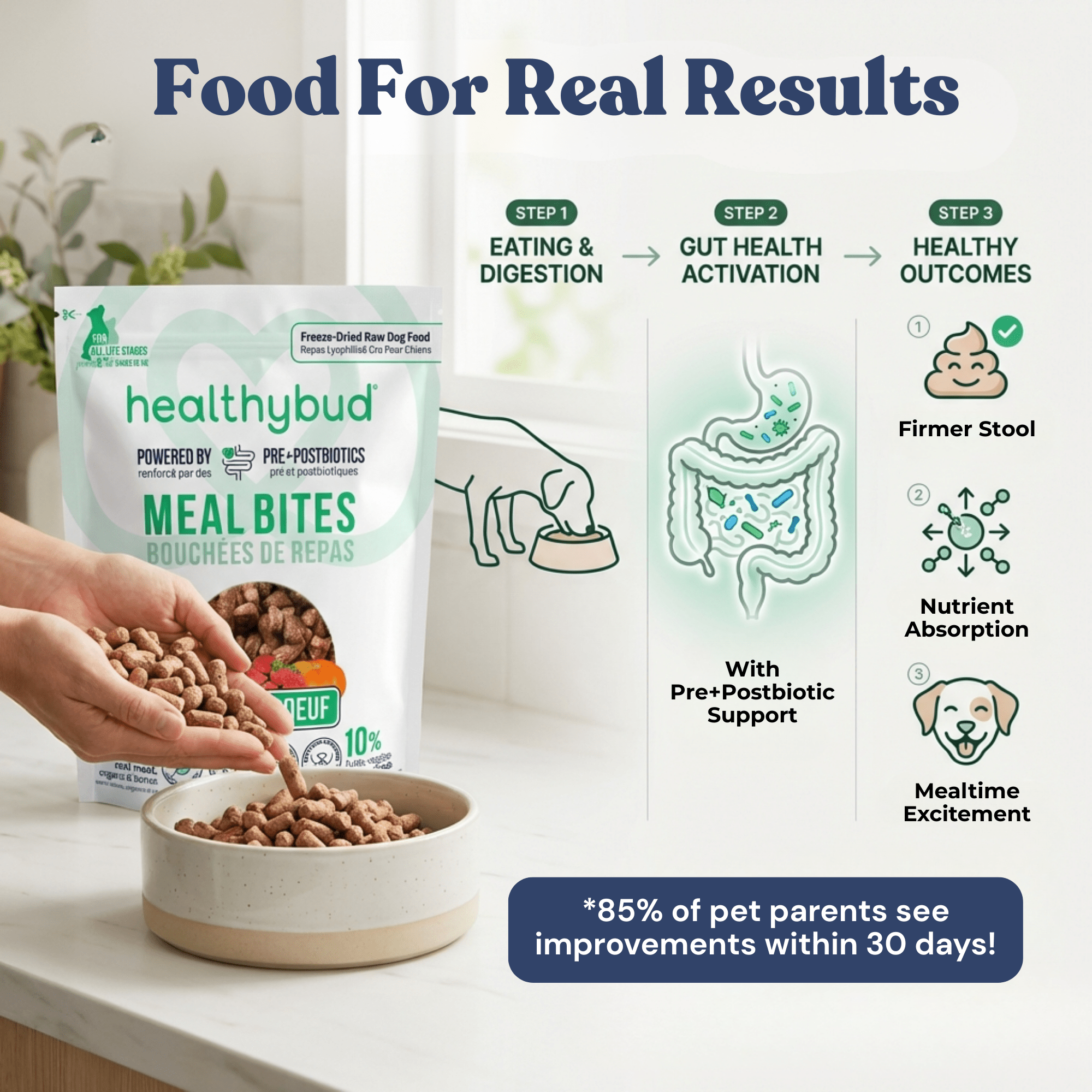 Beef Meal Bites - healthybud