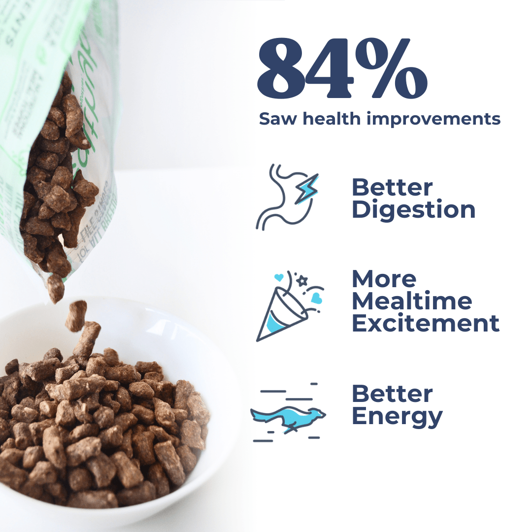 Beef Meal Bites - healthybud