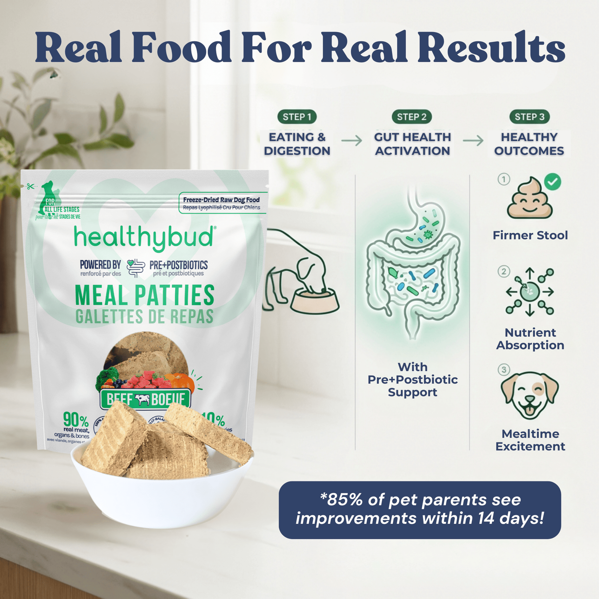 Beef Meal Patties - healthybud