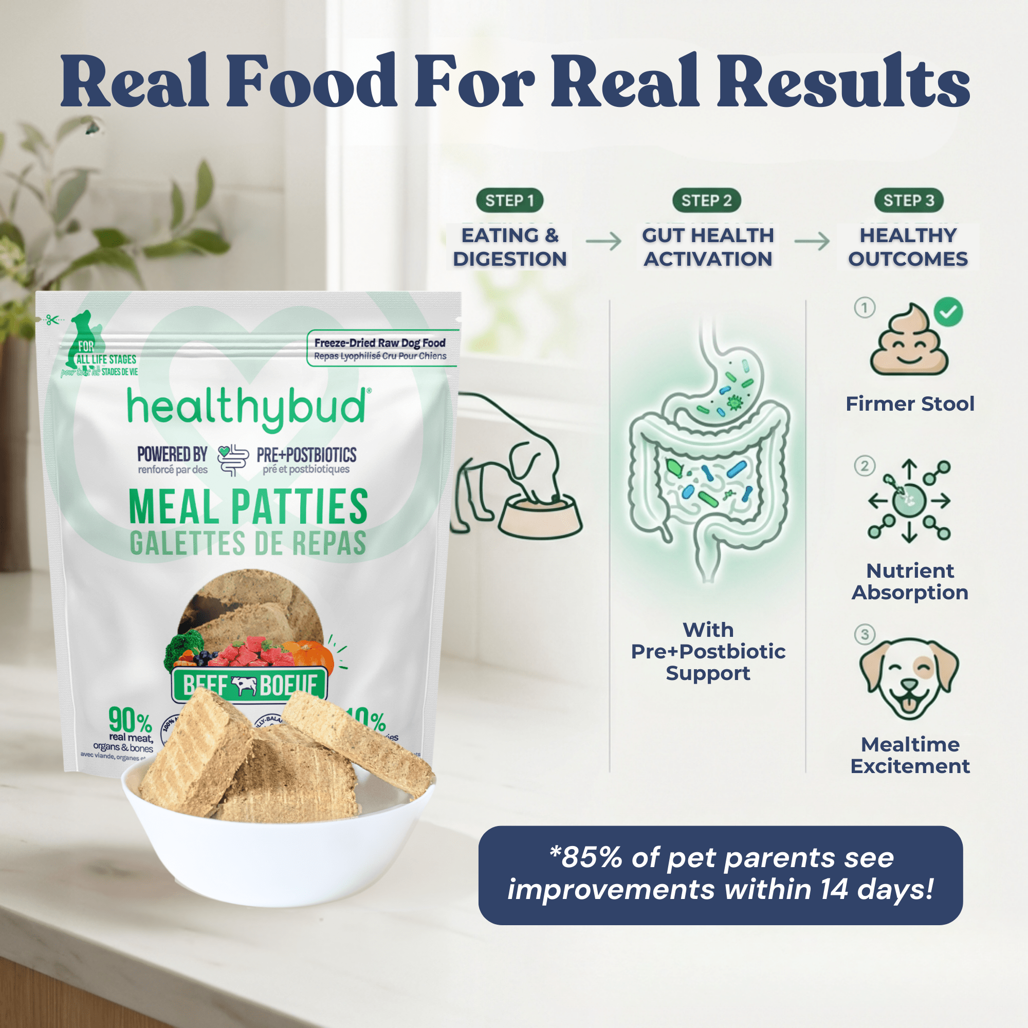 Beef Meal Patties - healthybud