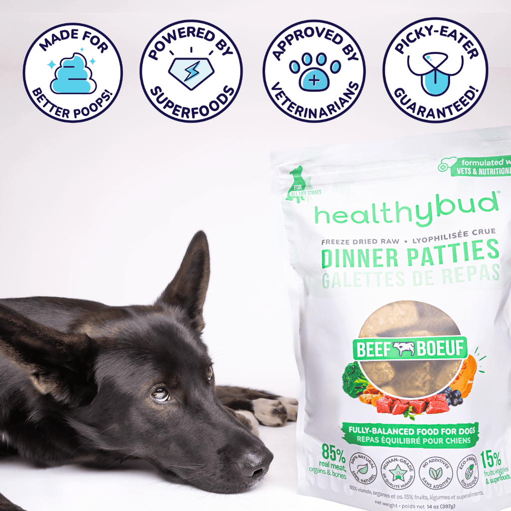 Beef Meal Patties - healthybud