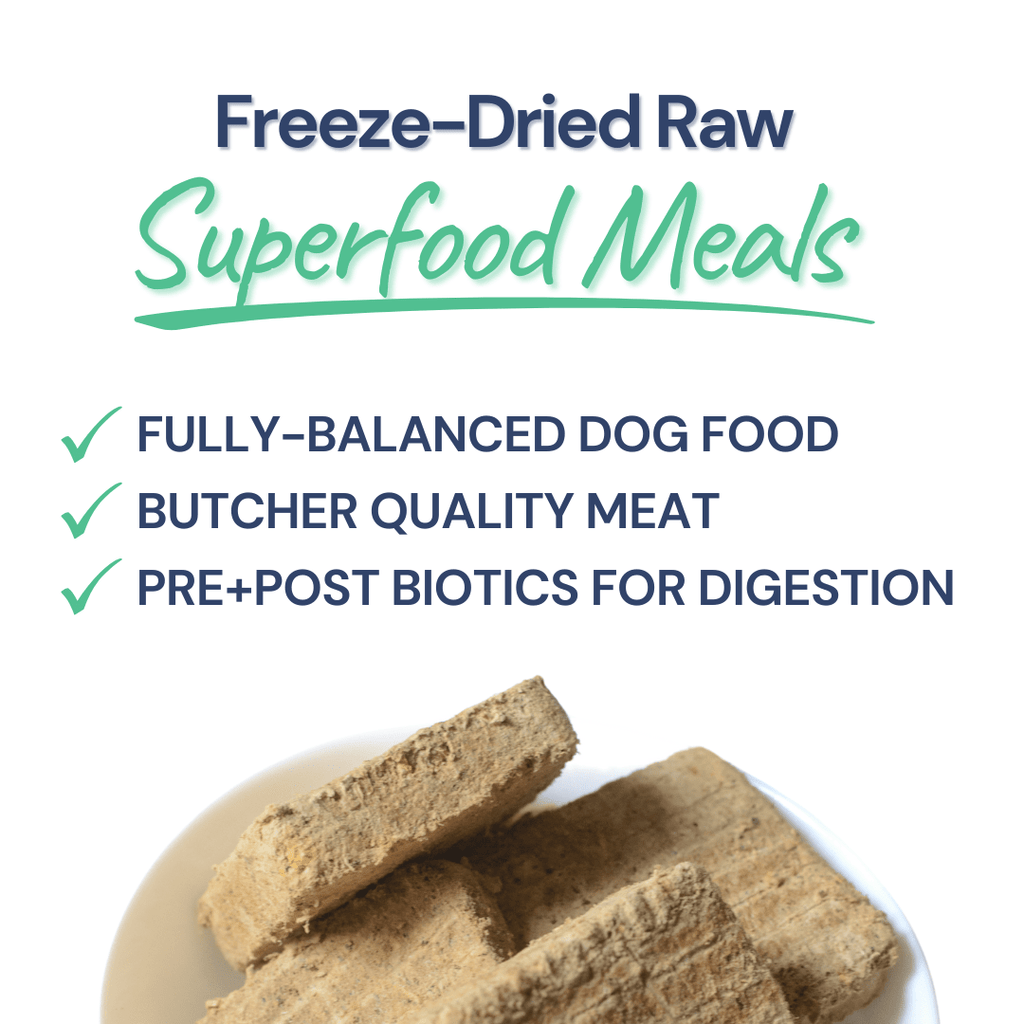 Beef Meal Patties - healthybud