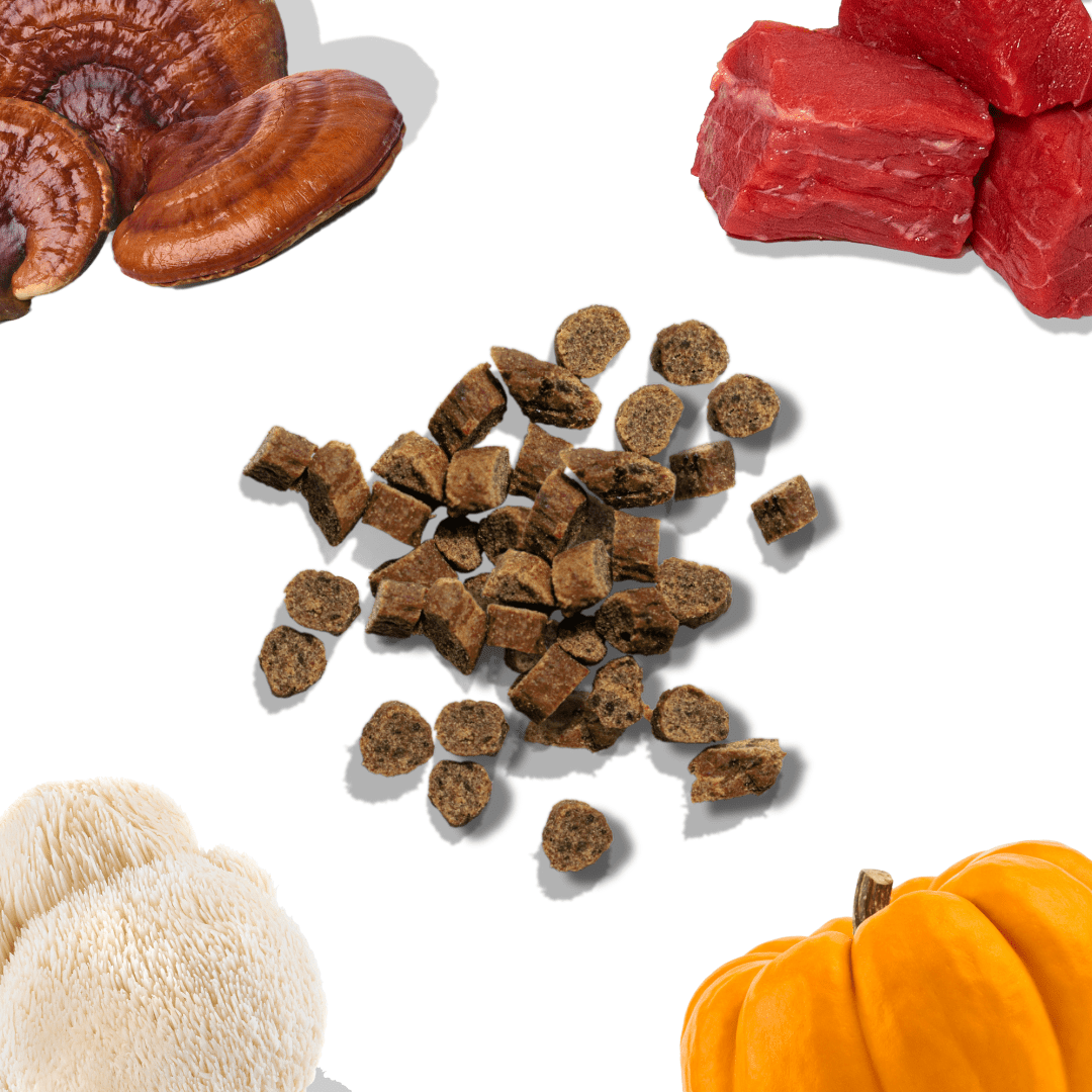 Beef Mini Training Treats - healthybud