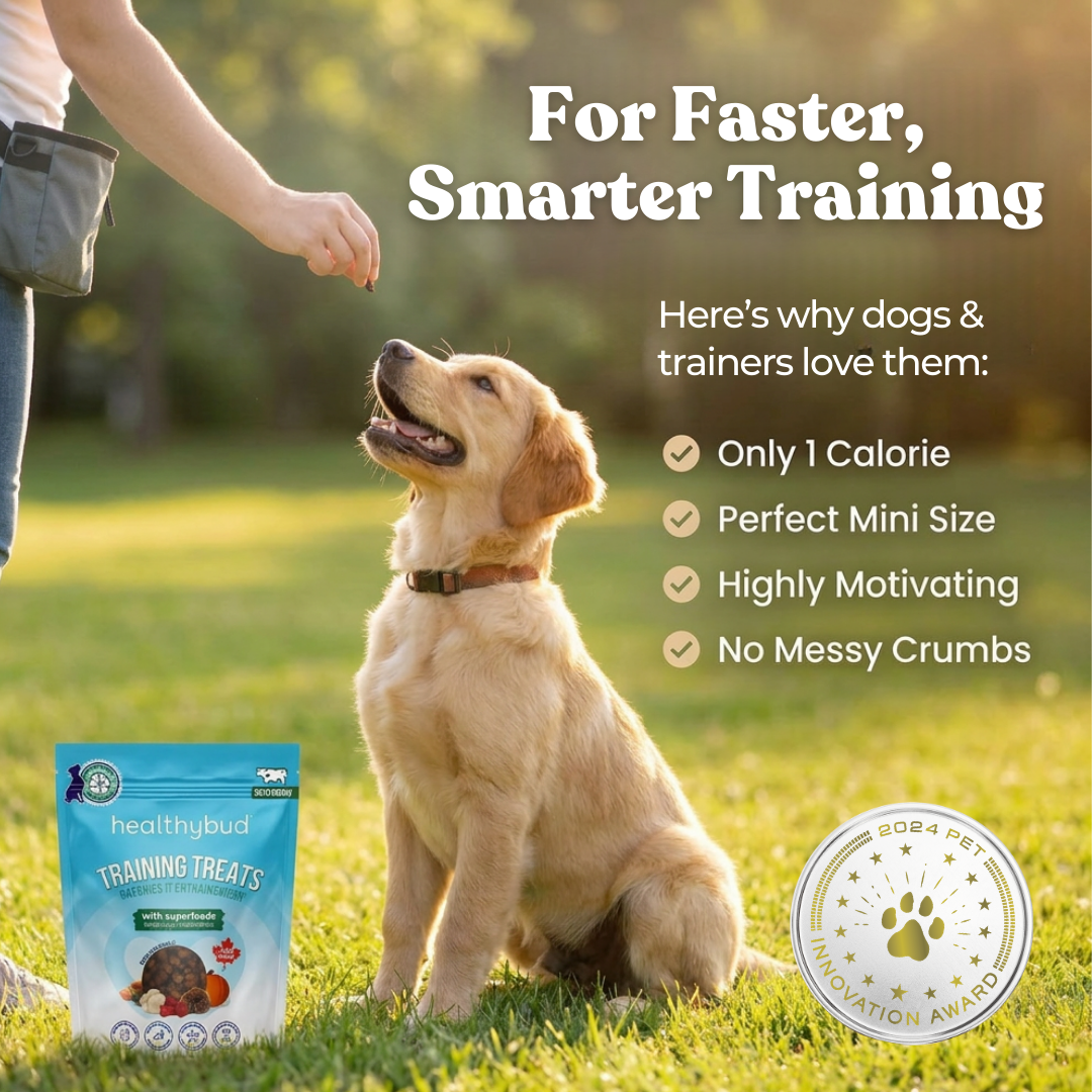 Beef Mini Training Treats - healthybud