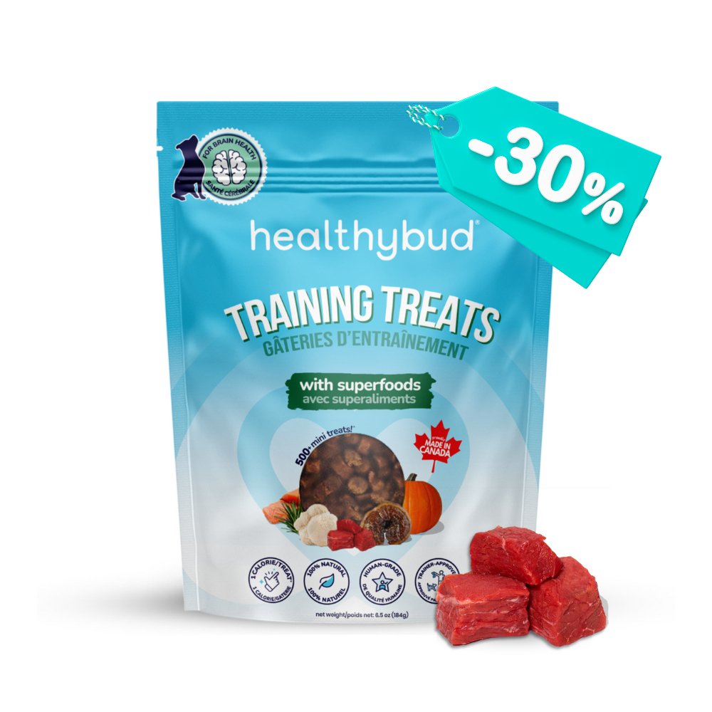 Beef Mini Training Treats - healthybud