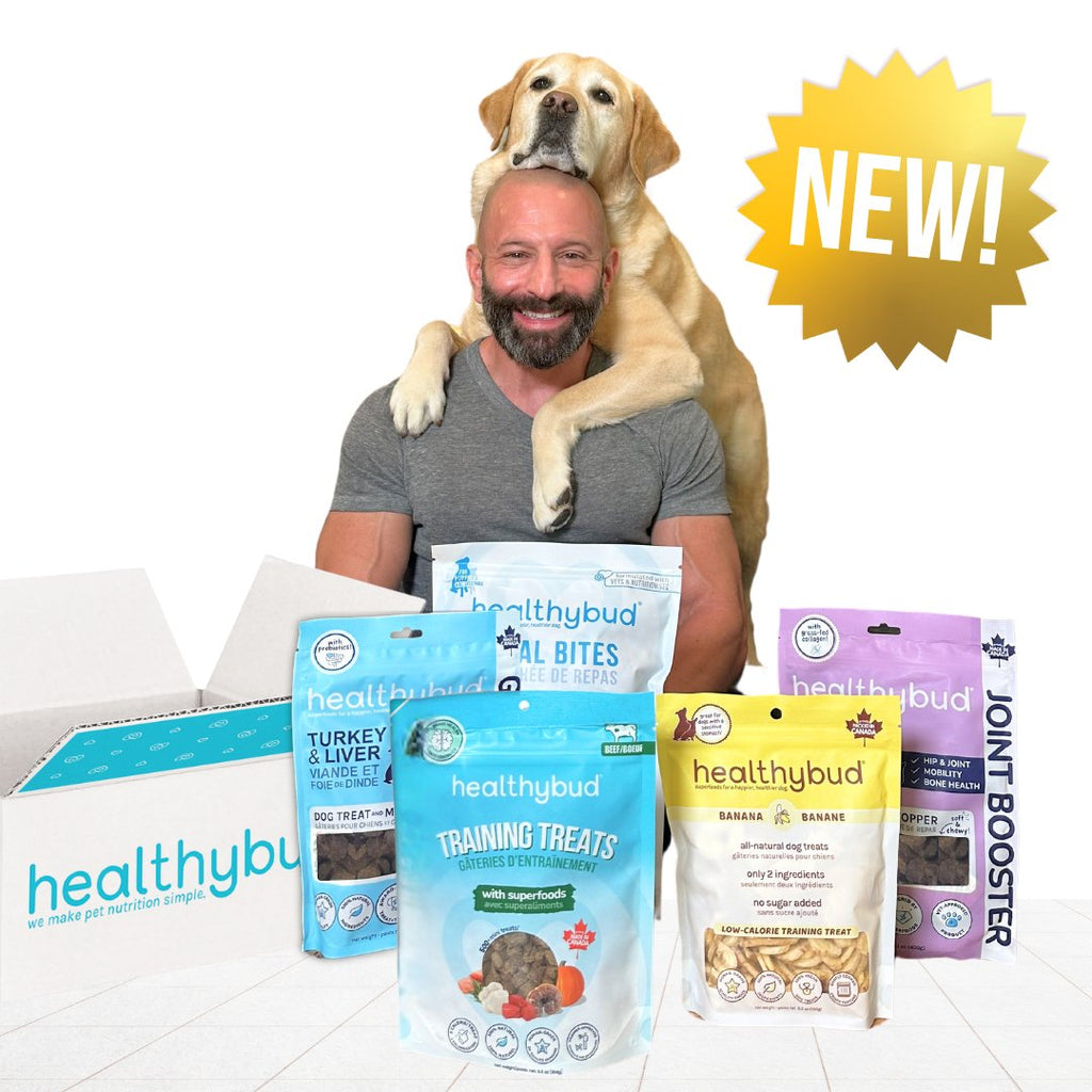 Brian & Magnus Training Bundle (Ltd. Edition) - healthybud