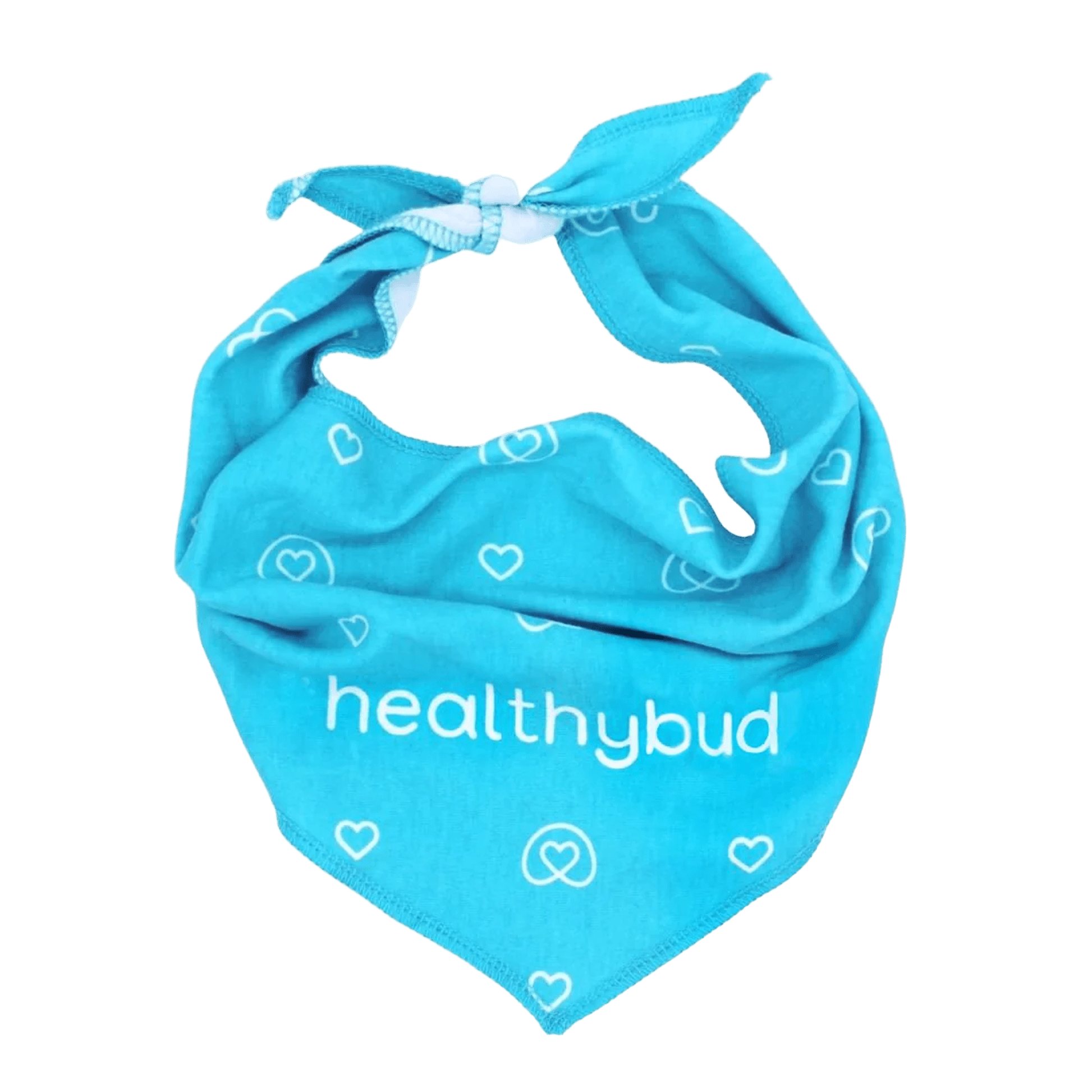 Budbassador Welcome Gift - healthybud