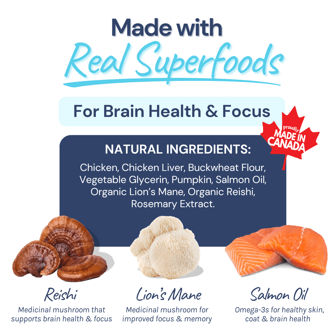 Chicken Mini Training Treats - healthybud