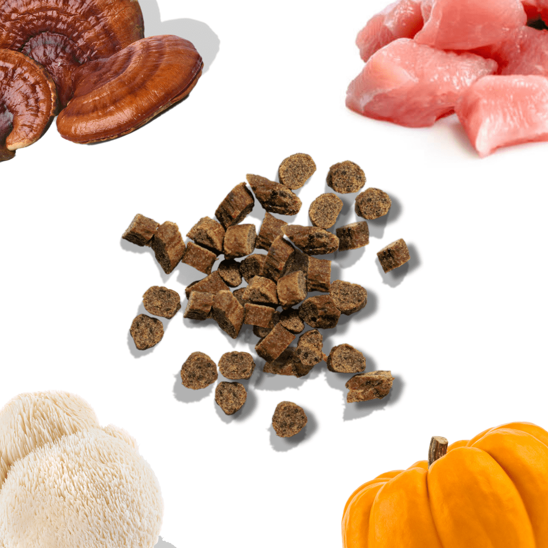 Chicken Mini Training Treats - healthybud
