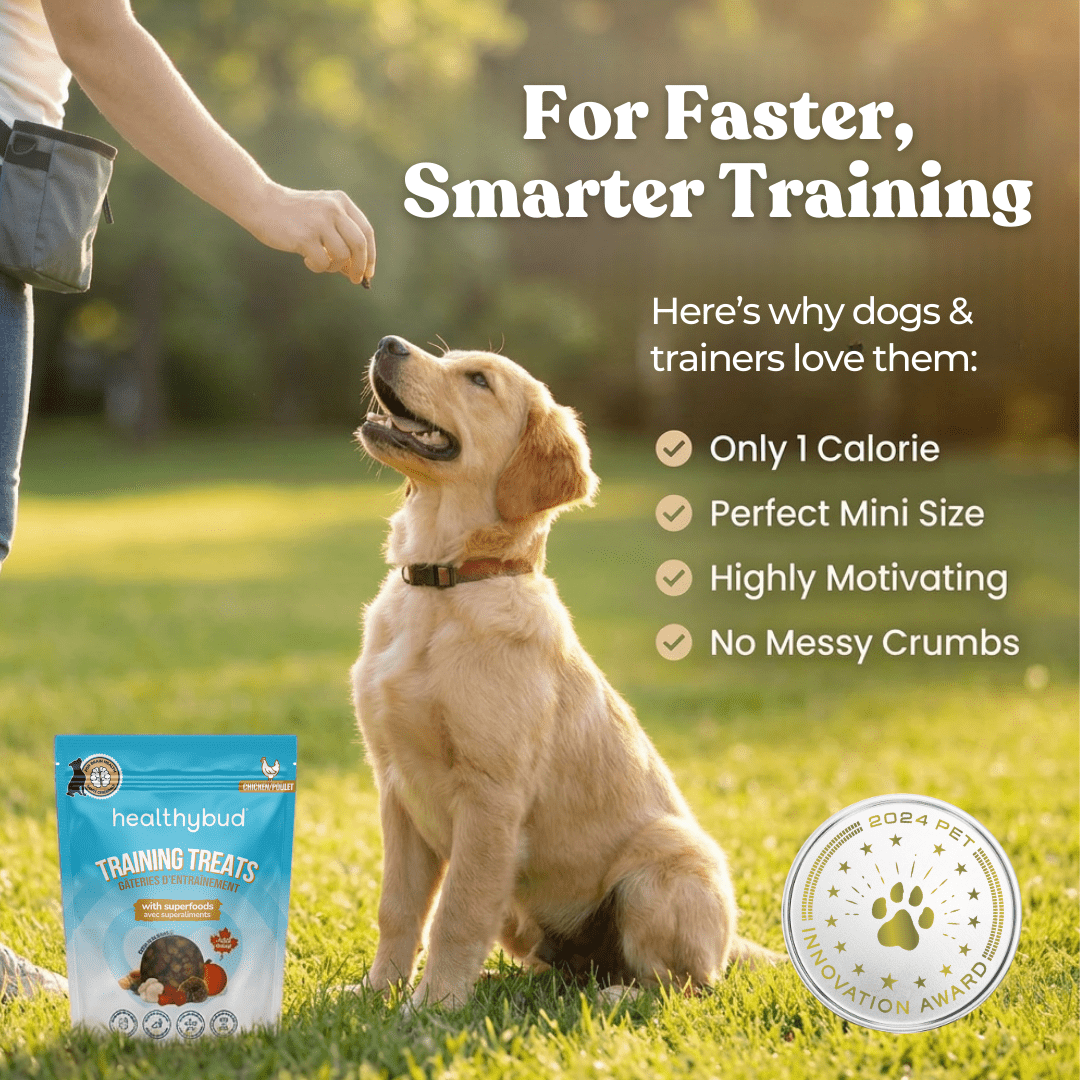Chicken Mini Training Treats - healthybud