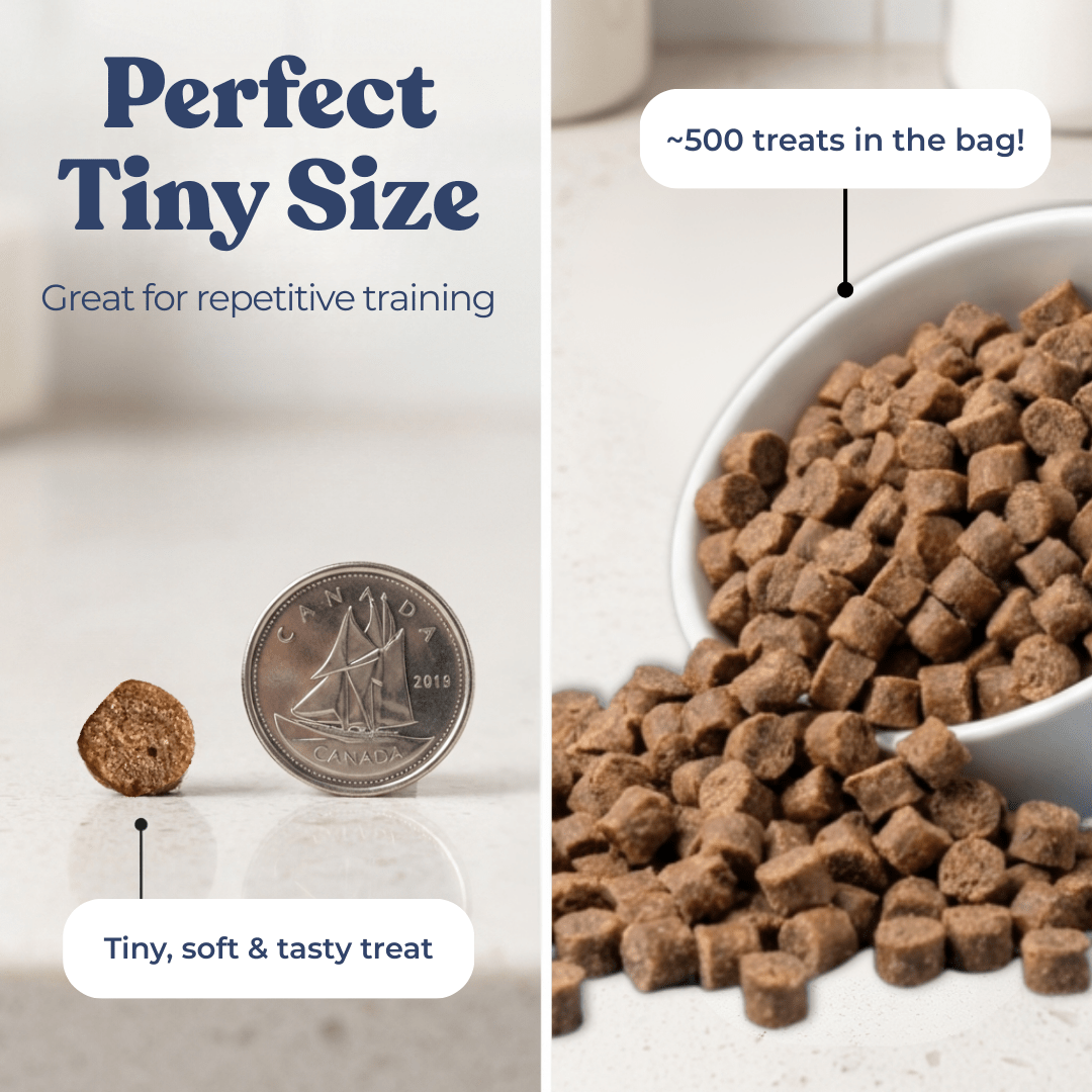 Chicken Mini Training Treats - healthybud