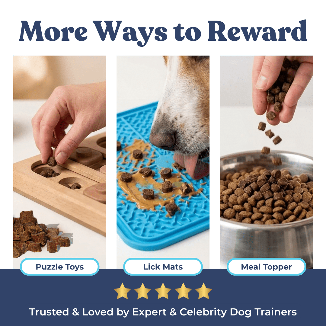 Chicken Mini Training Treats - healthybud