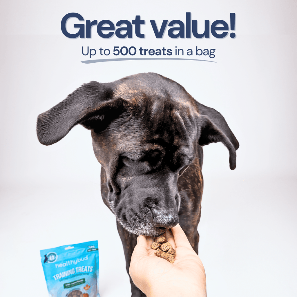 Chicken Mini Training Treats - healthybud