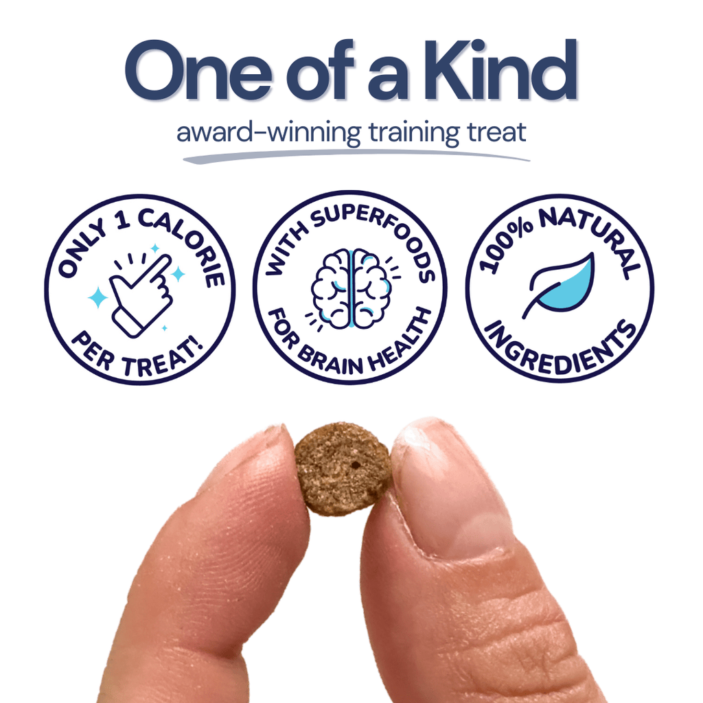 Chicken Mini Training Treats - healthybud