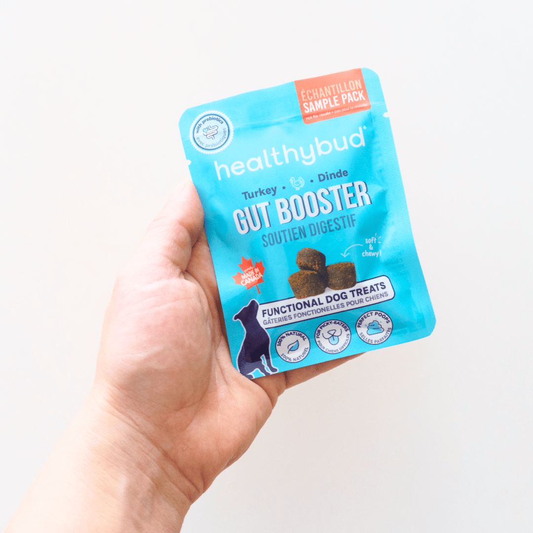 Gut Booster - Sample - healthybud