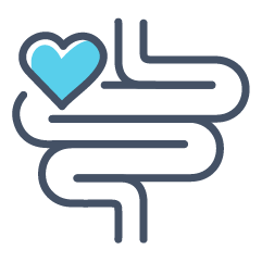 Gut and Digestion Health Icon