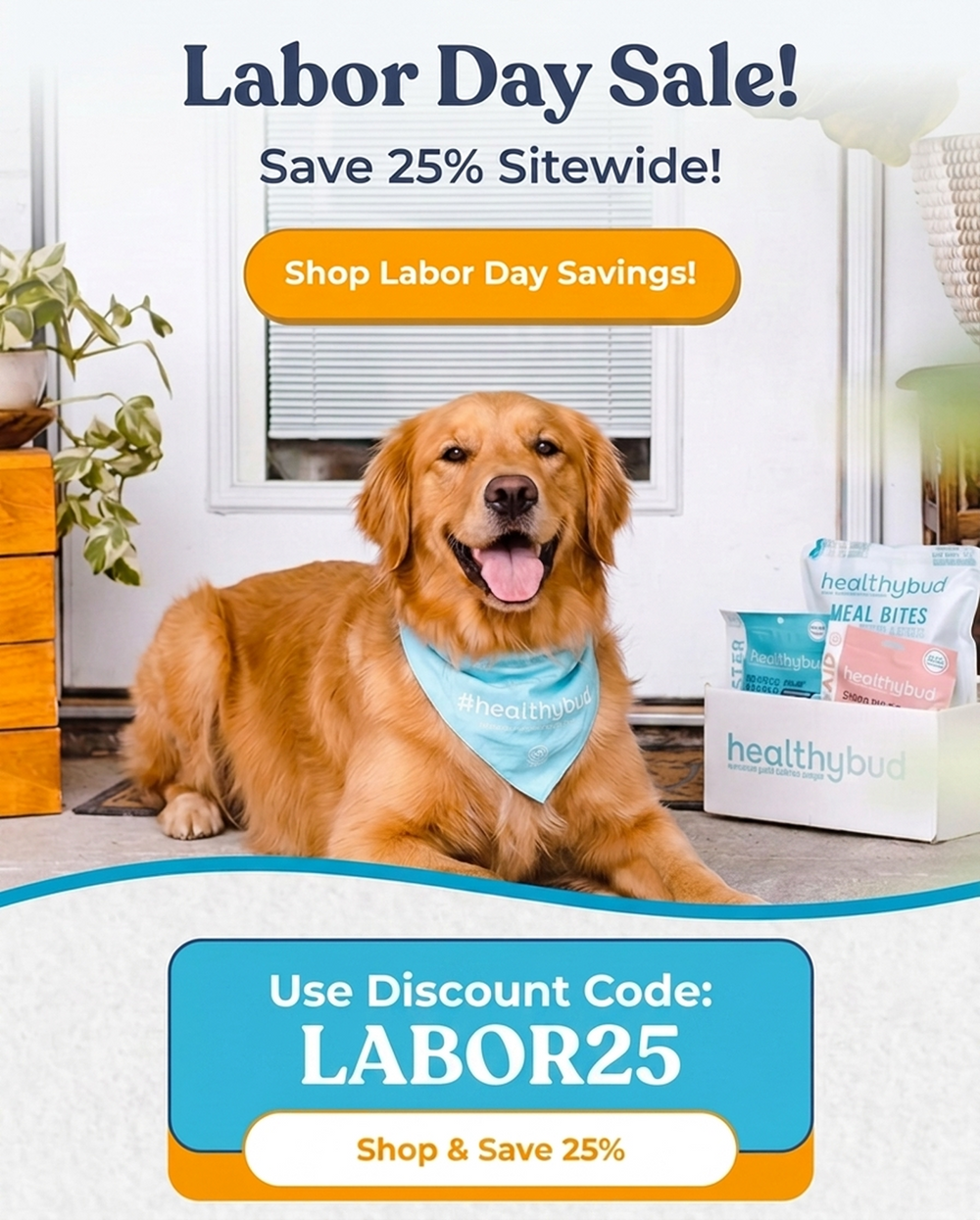 Élever la barre de la nutrition canine