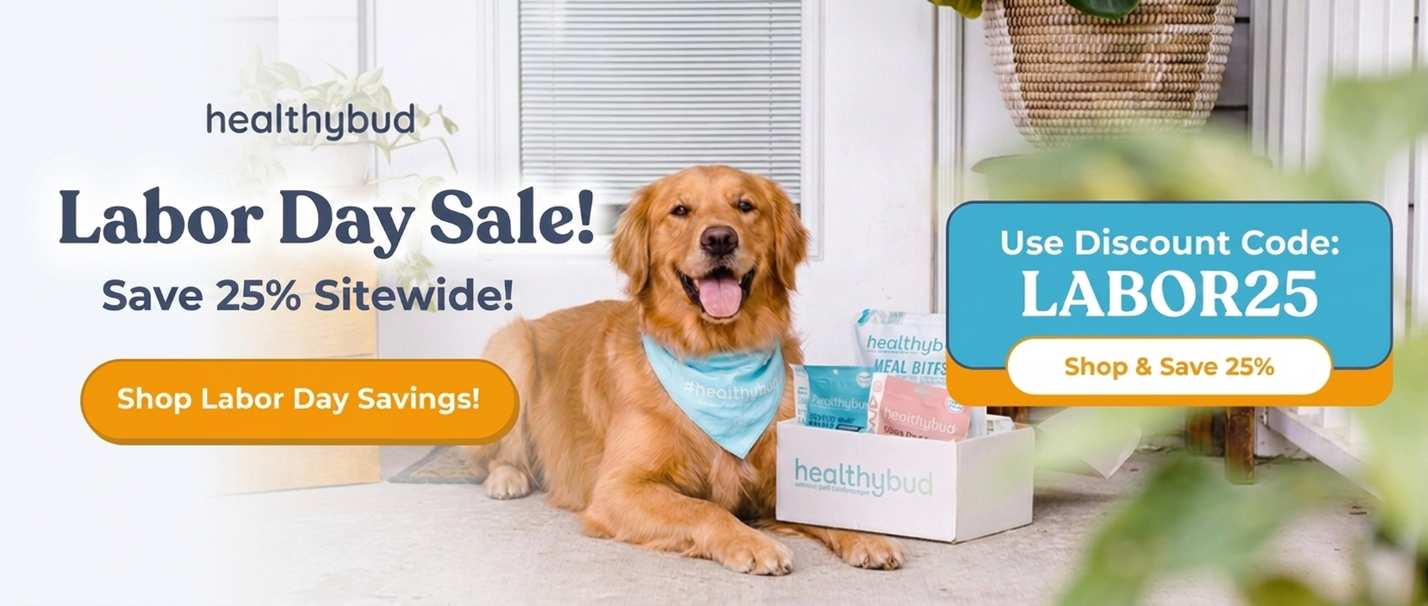 Élever la barre de la nutrition canine