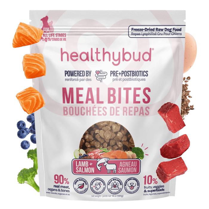 Lamb + Salmon Meal Bites - healthybud