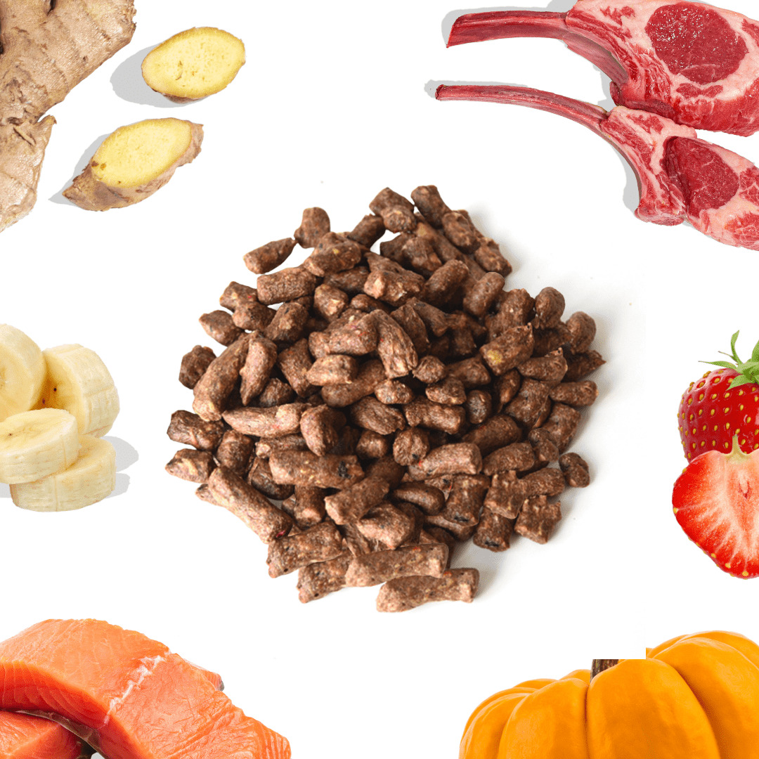 Lamb + Salmon Meal Bites - healthybud