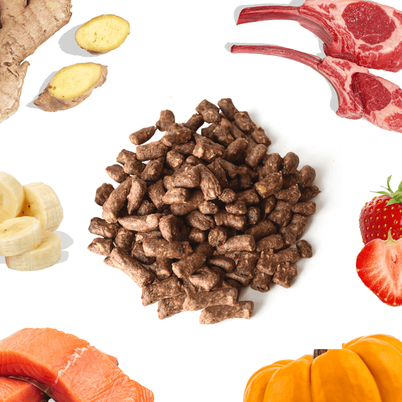 Gut-Boosting Recipe