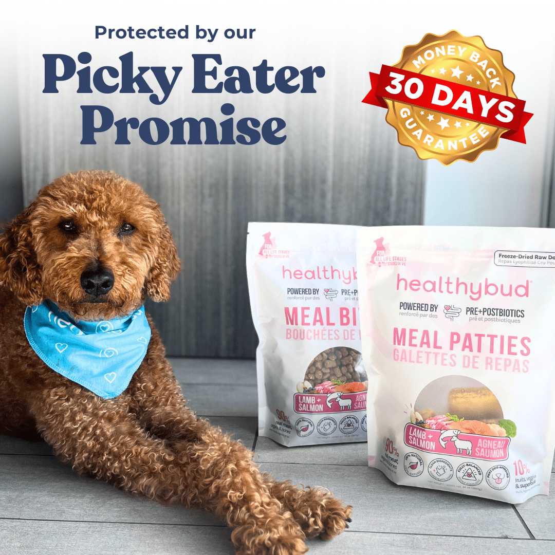 Lamb + Salmon Meal Bites - healthybud