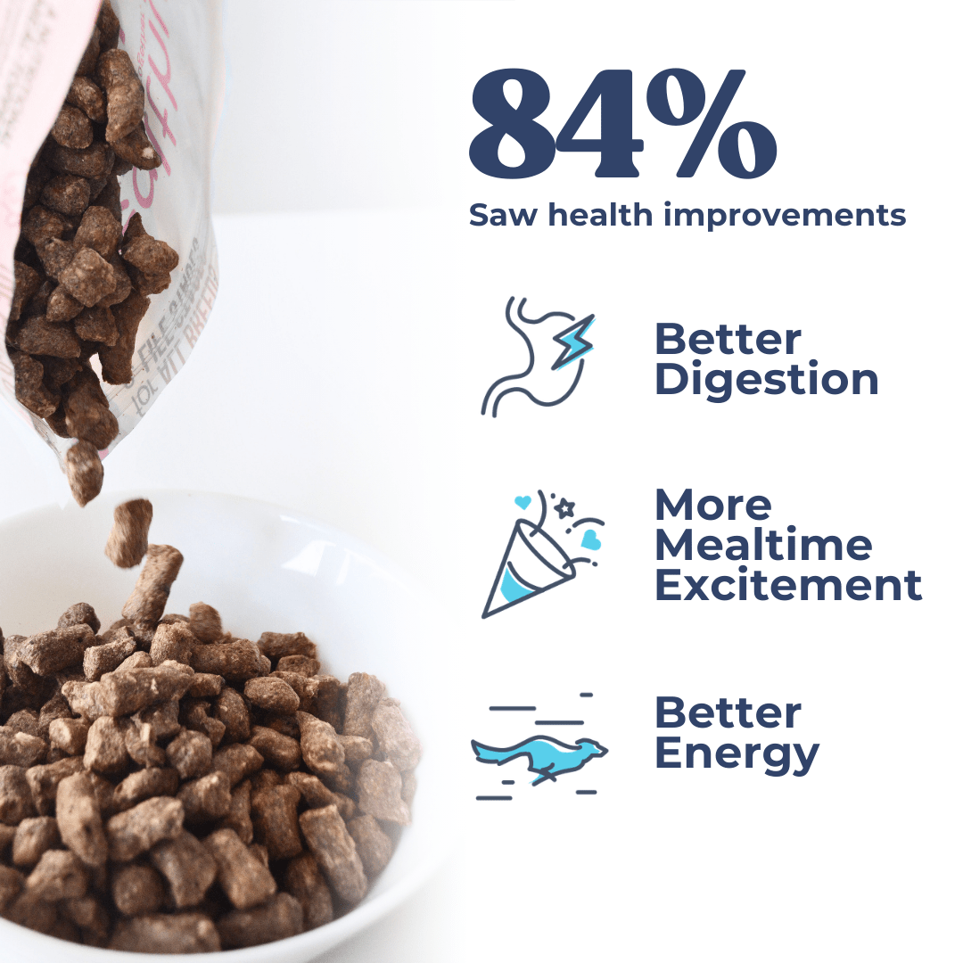 Lamb + Salmon Meal Bites - healthybud