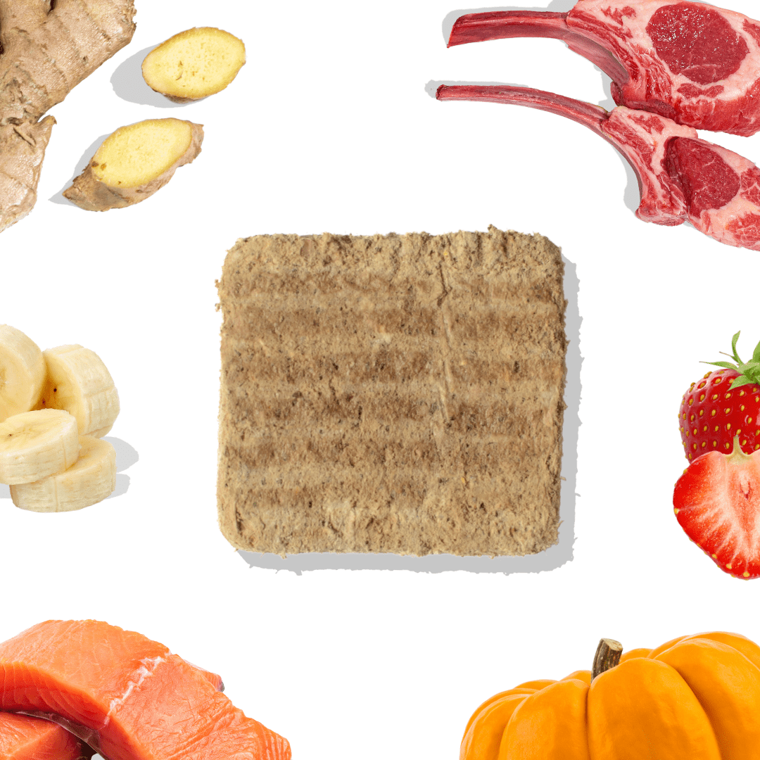 Lamb+Salmon Meal Patties - healthybud