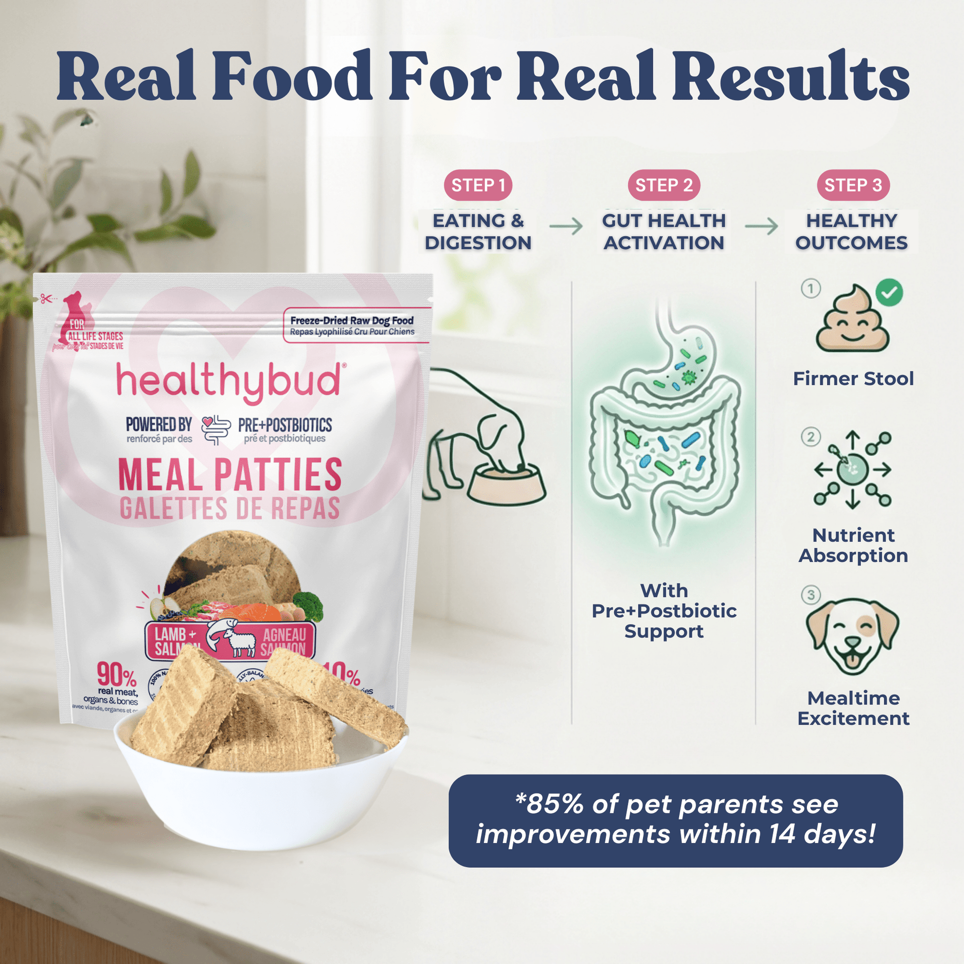 Lamb+Salmon Meal Patties - healthybud