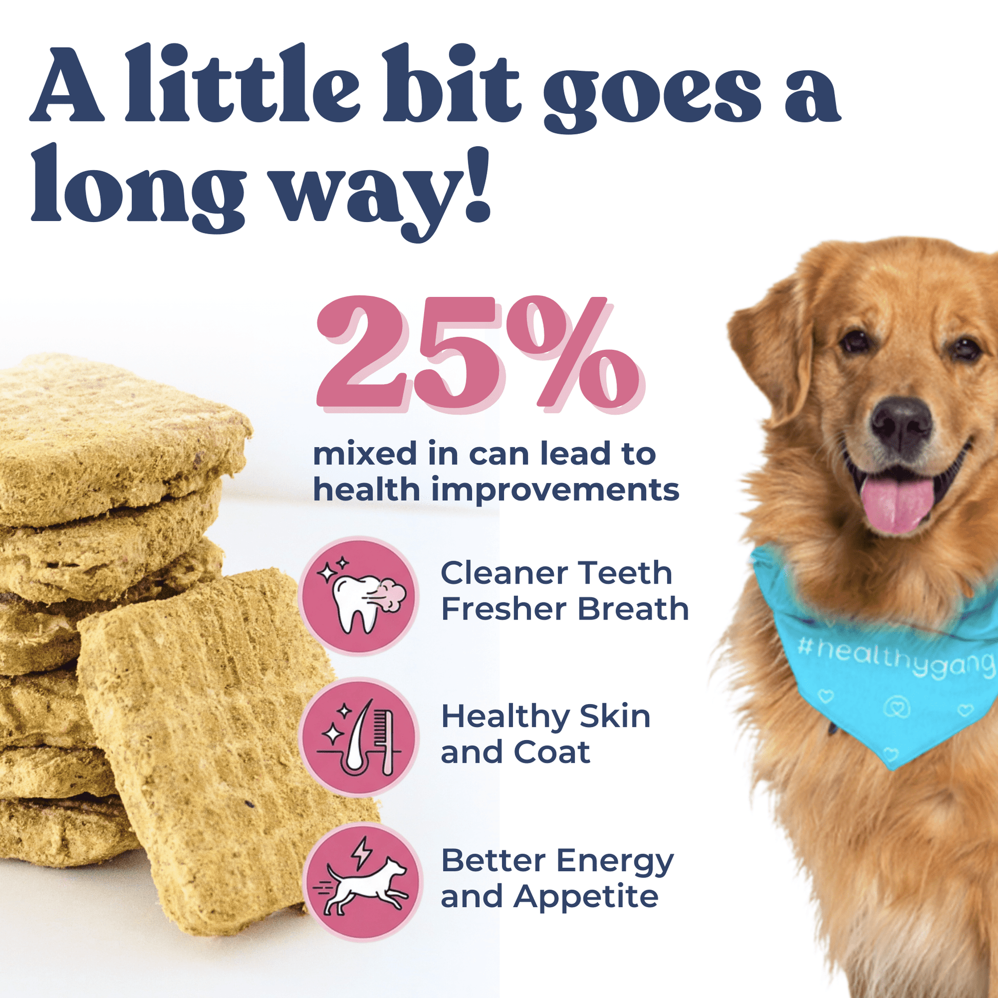 Lamb+Salmon Meal Patties - healthybud