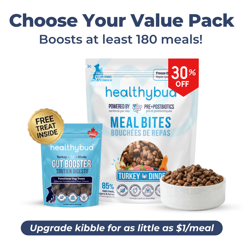 Large Dog Kibble Booster Super Pack (90 - Day Supply) - healthybud