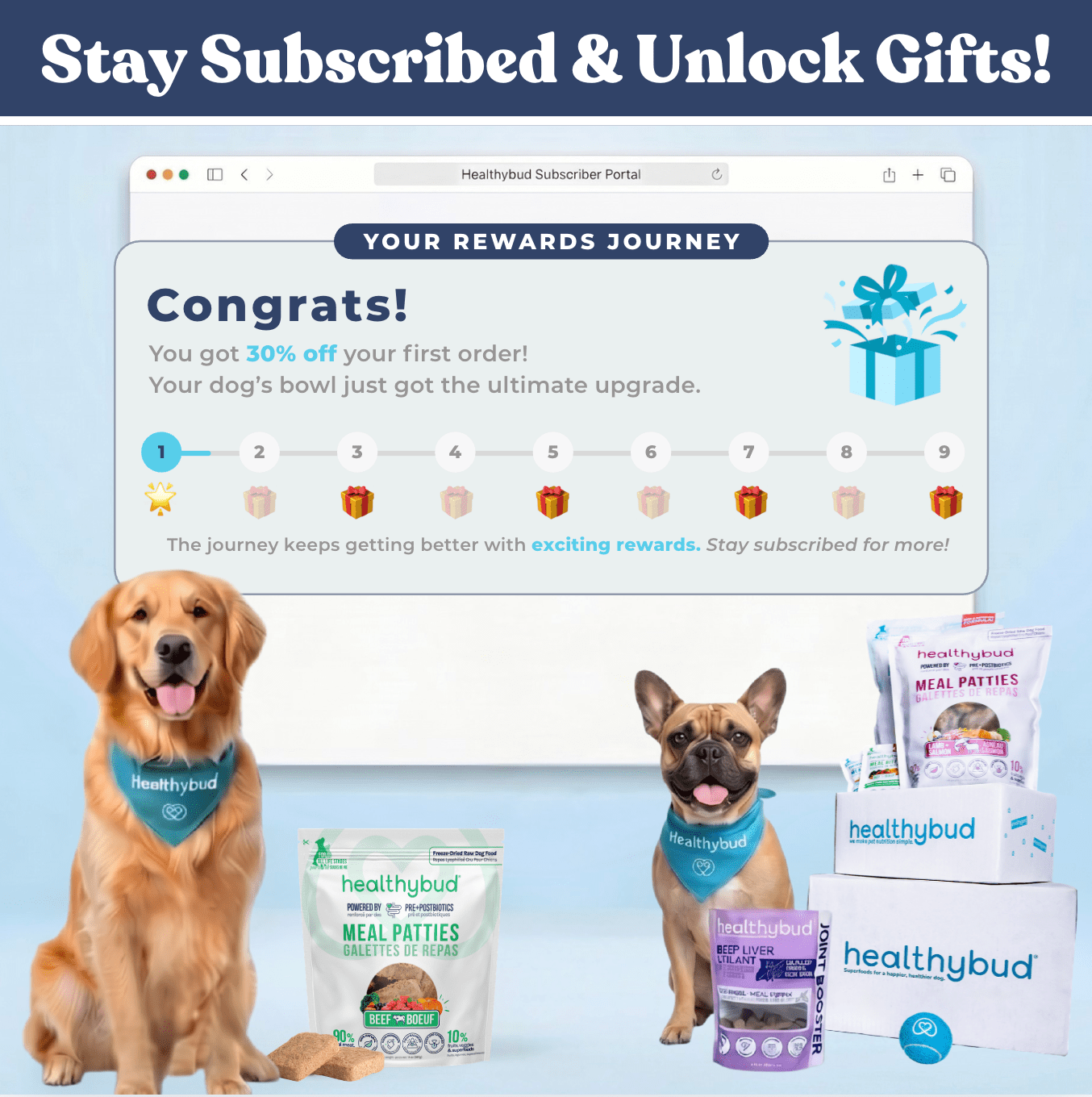 Large Dog Starter Kit (30 - Day Supply) - healthybud