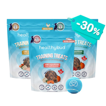 Mini Training Treat Variety Pack - healthybud