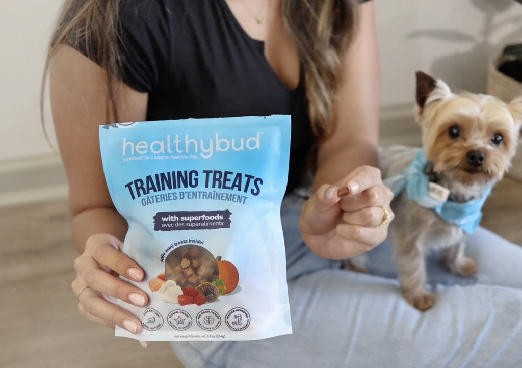 Mini Training Treat Variety Pack - healthybud