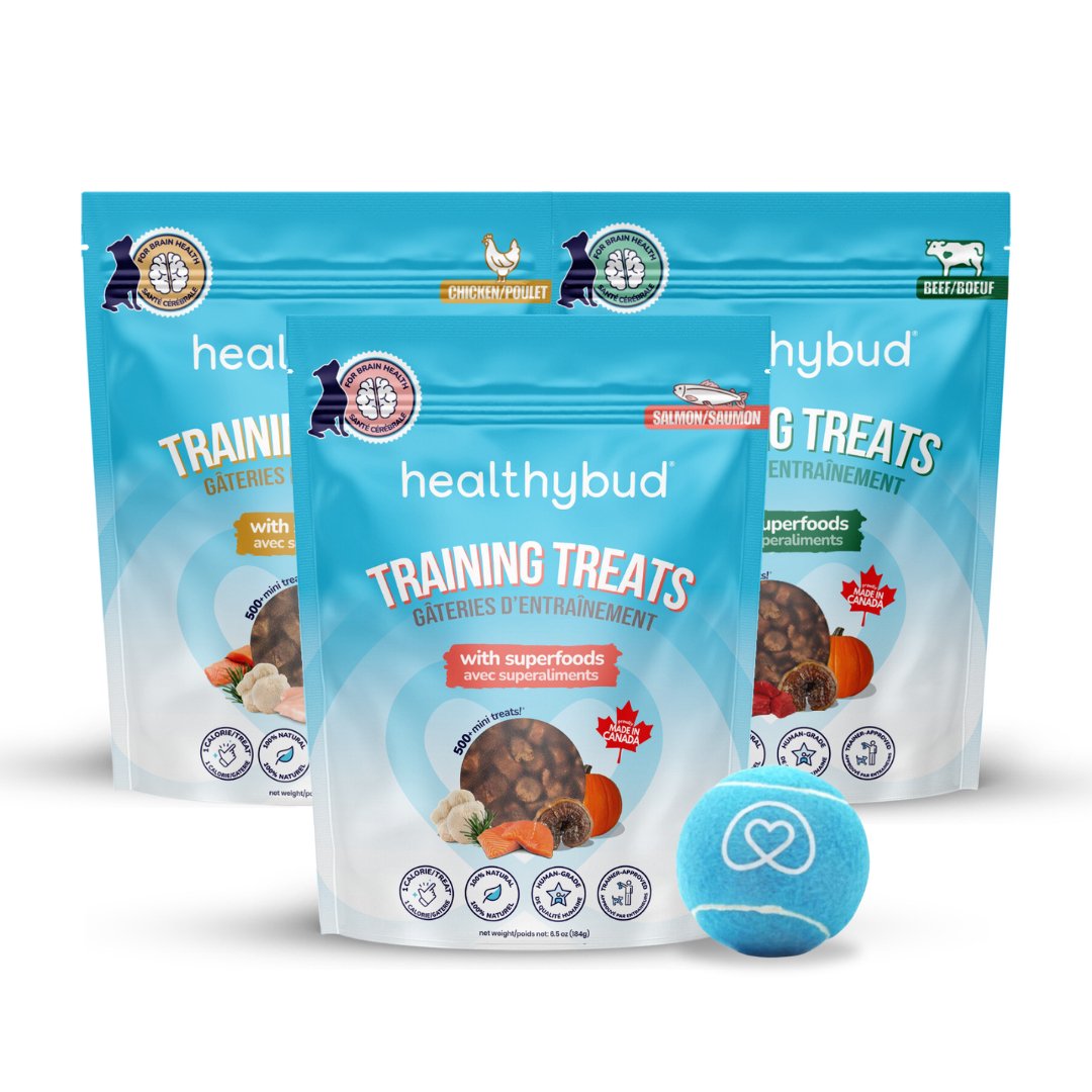 Healthybud Mini Training Treats Beef Chicken Salmon Smart Dogs healthybud