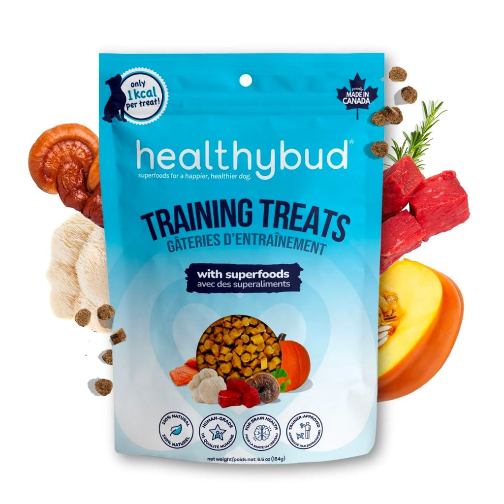 Front of Healthybud Mini Training Treats bag - 1 low calorie superfood mini treats with Lion's Mane, Reishi, & Salmon Oil.