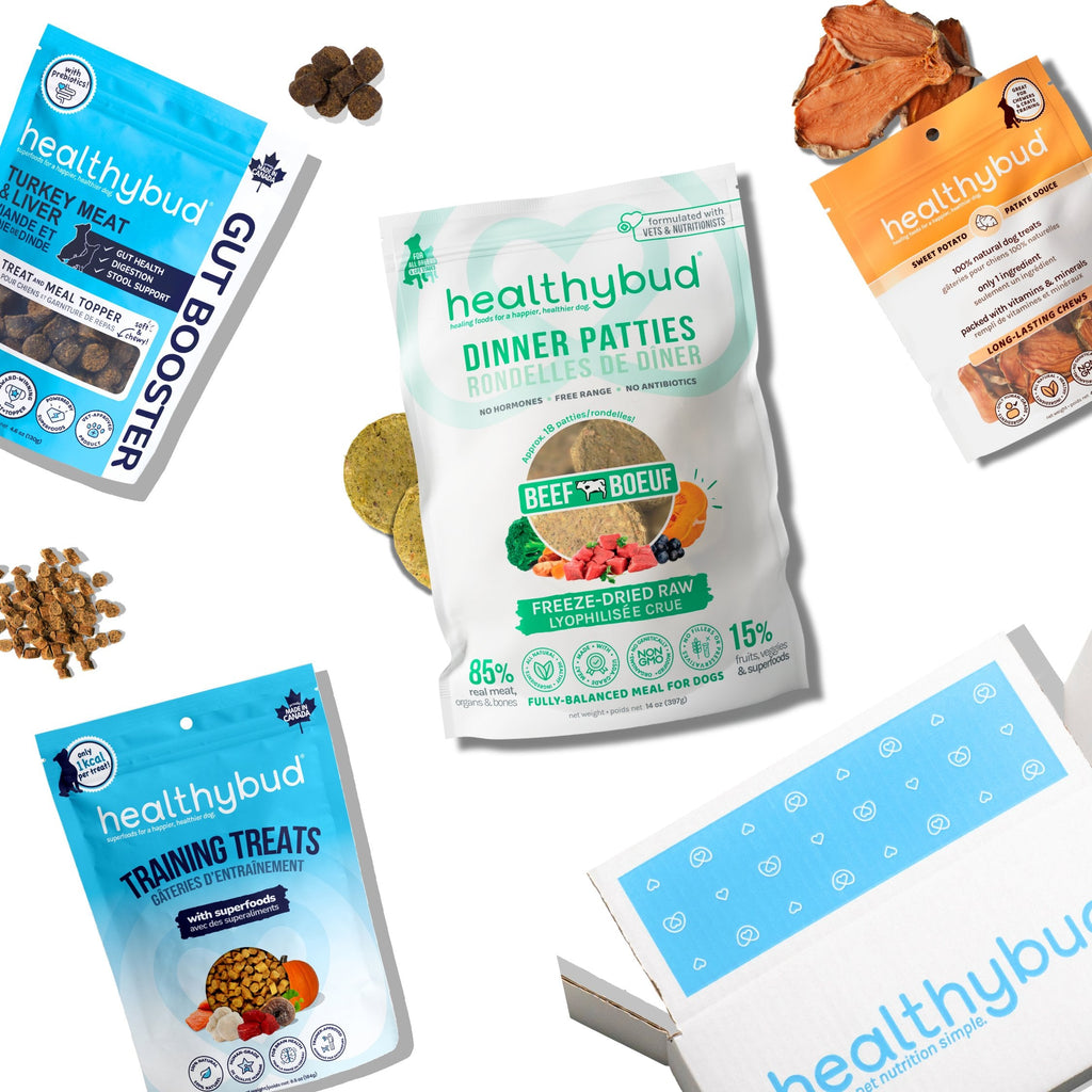 Perfect Puppy Bundle - healthybud