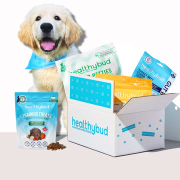 Perfect Puppy Bundle - healthybud