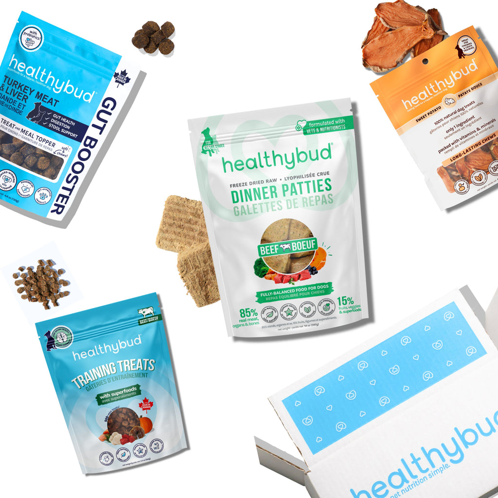 Perfect Puppy Bundle - healthybud